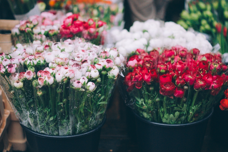 fleuriste-OPIO-min_farmers-market-1209712